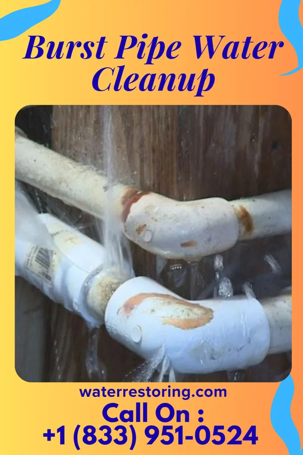 Burst Pipe Water Cleanup in Rensselaer Falls, NY