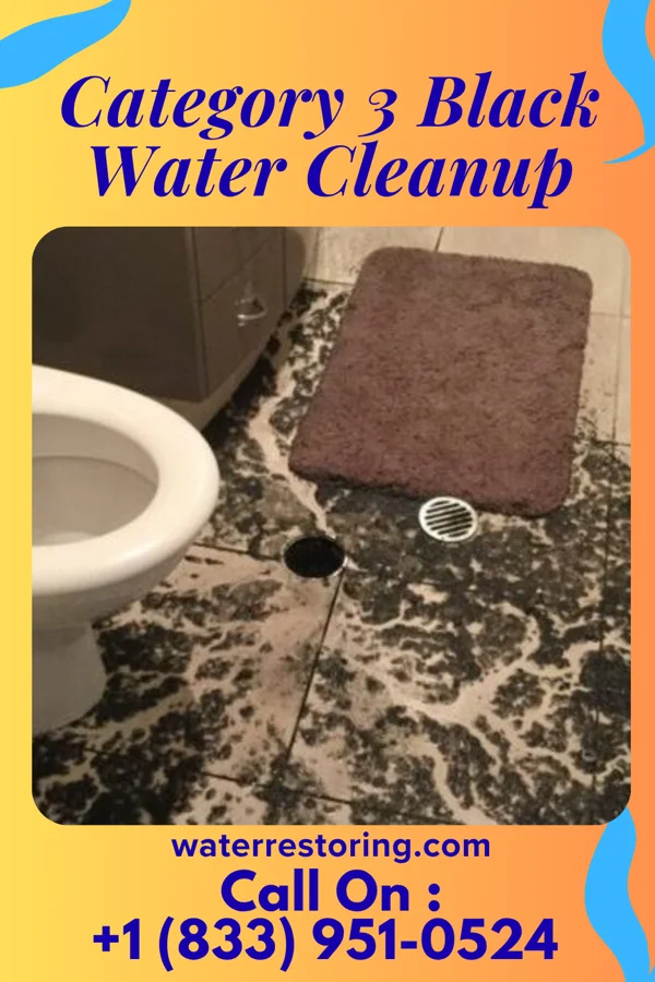 Category 3 Black Water Cleanup in Rensselaer Falls, NY